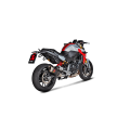 Akrapovic Carbon Fiber Slip-on Exhaust for BMW F 900 R / XR